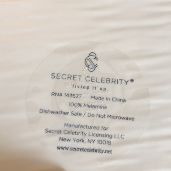 NWT Secret Celebrity Melamine square plate - Picture 3 of 3
